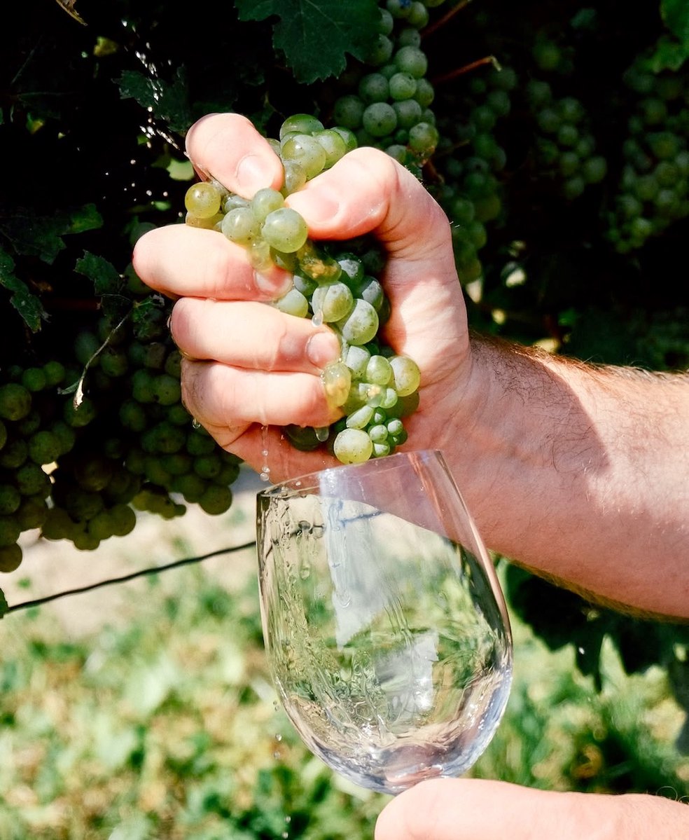 Rick VanSickle tweet media