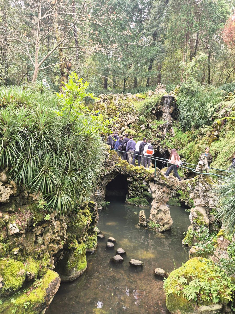 Twitsabel tweet media