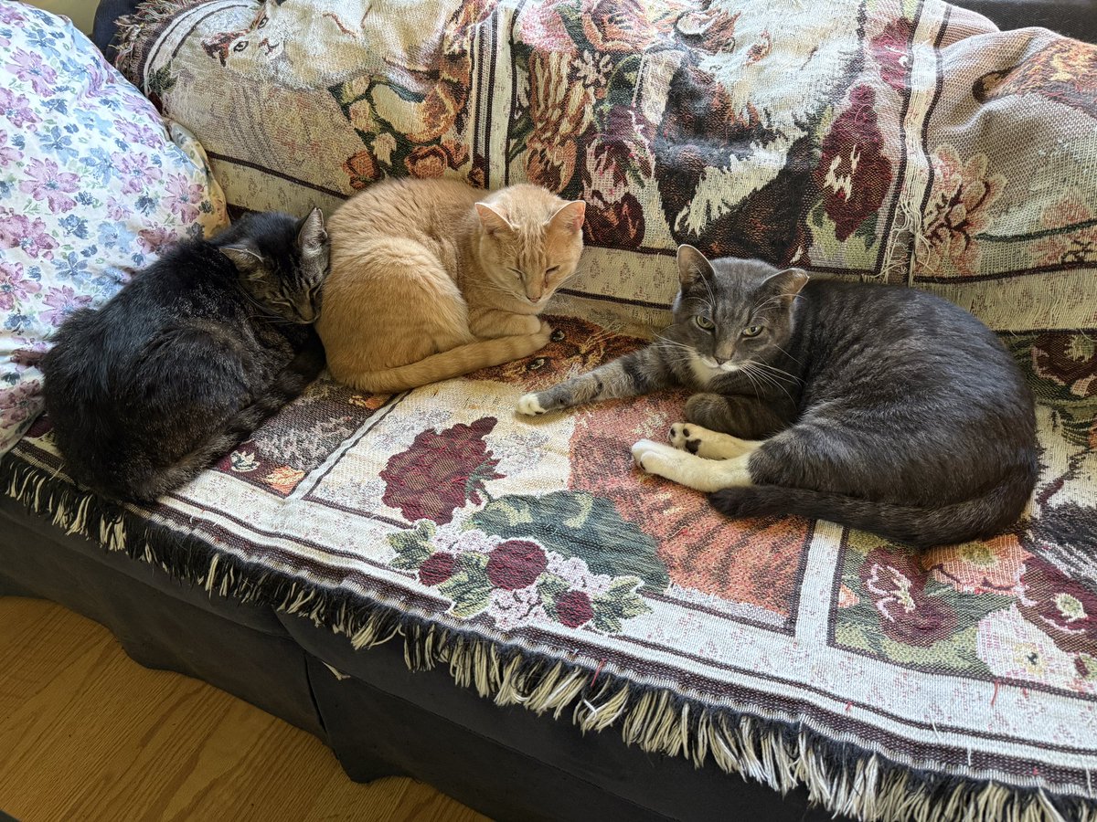 whatsanameanyway tweet media