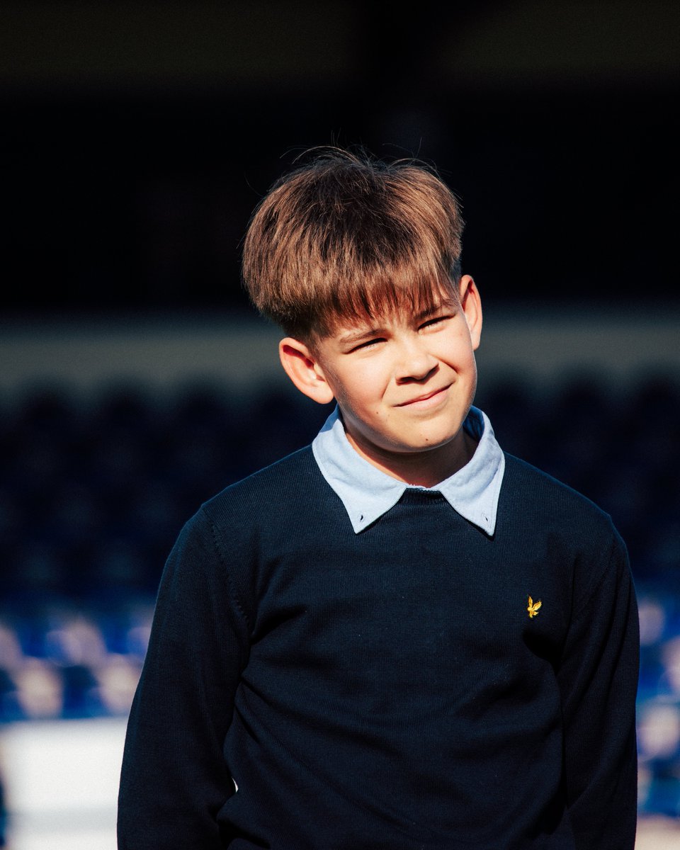 FCV Dender EH tweet media