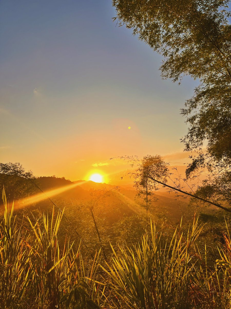 kyle🇯🇲 tweet media