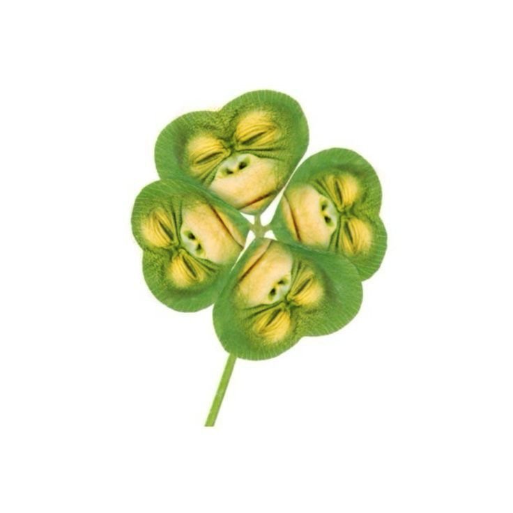 primateluvr tweet media