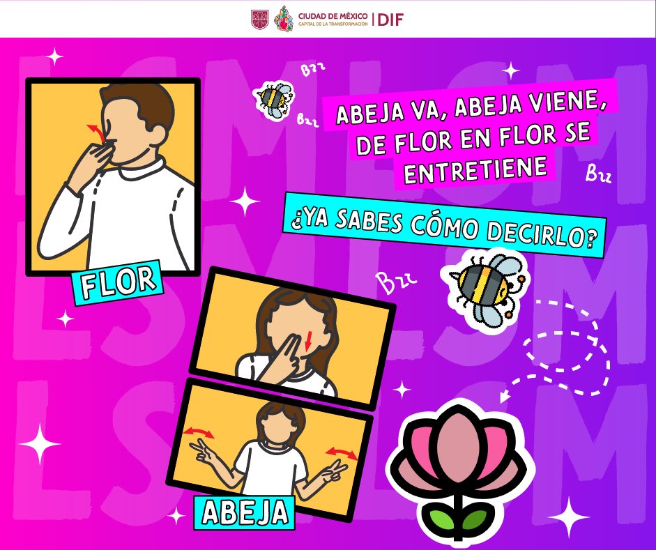 DIF Ciudad de México tweet media