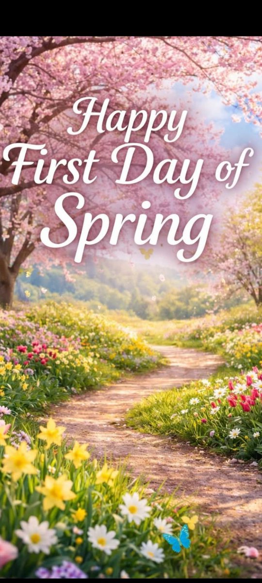 Happy Spring! Who's ready to do some spring cleaning? Me!!!
