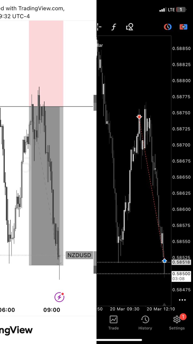 Living Pips tweet media