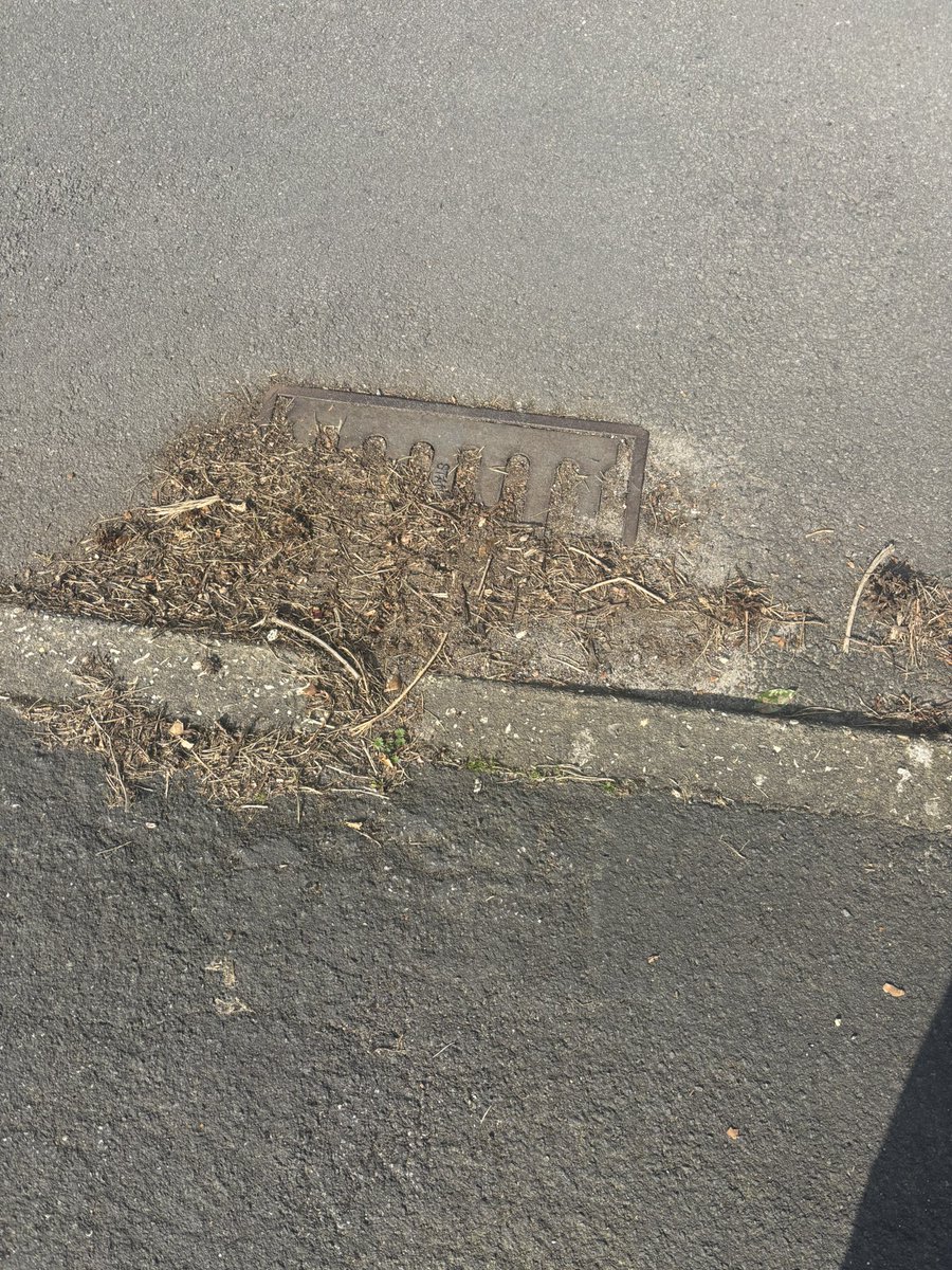 Jen k 🇬🇧🏴󠁧󠁢󠁥󠁮󠁧󠁿 tweet media