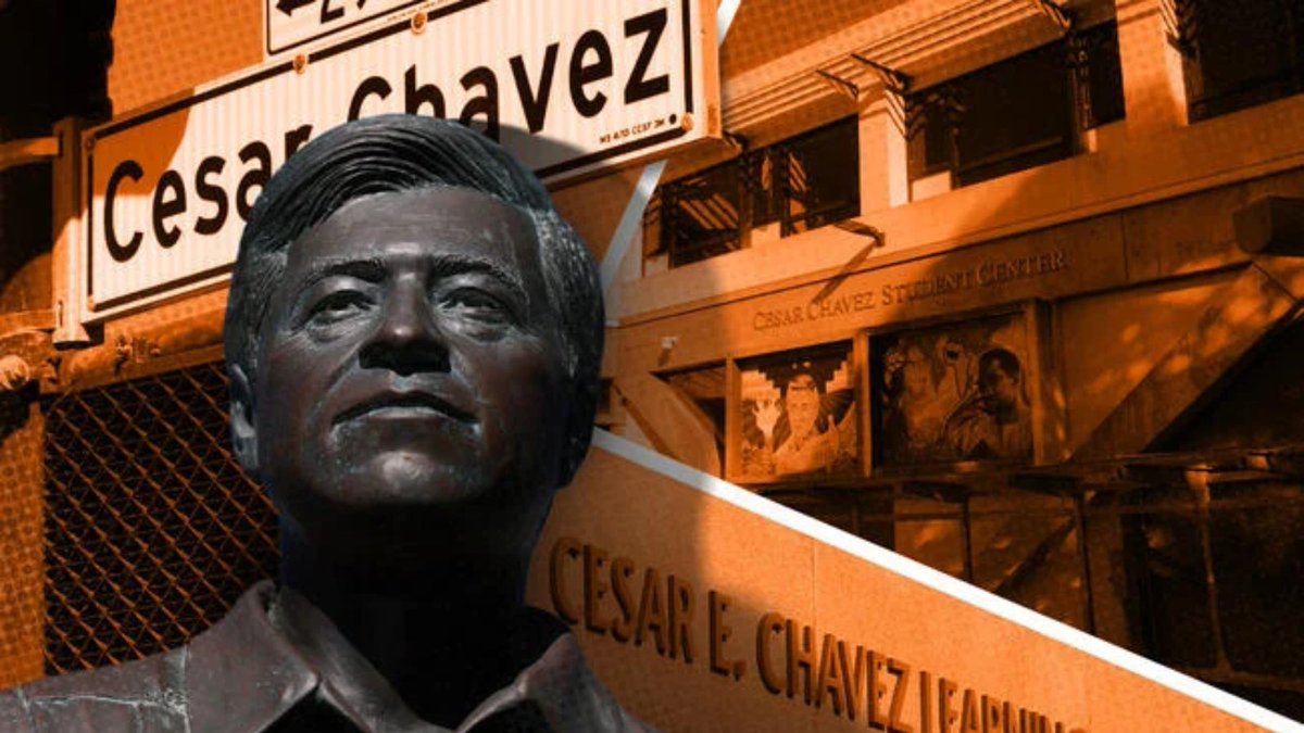 Inside Higher Ed tweet media