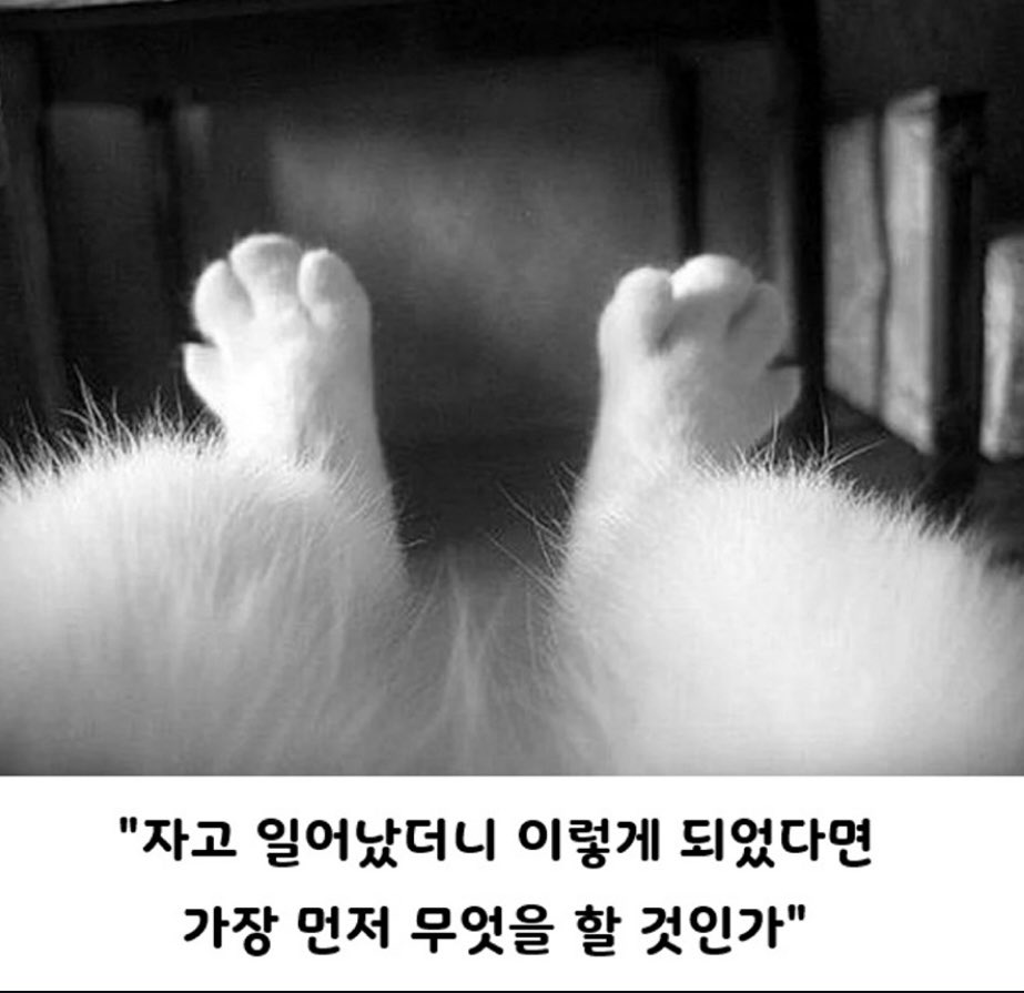 디지털 한량 tweet media