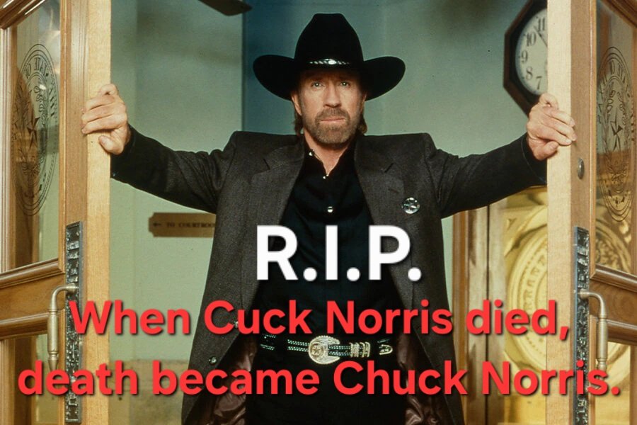 Indiana Jones' adventure guide tweet media