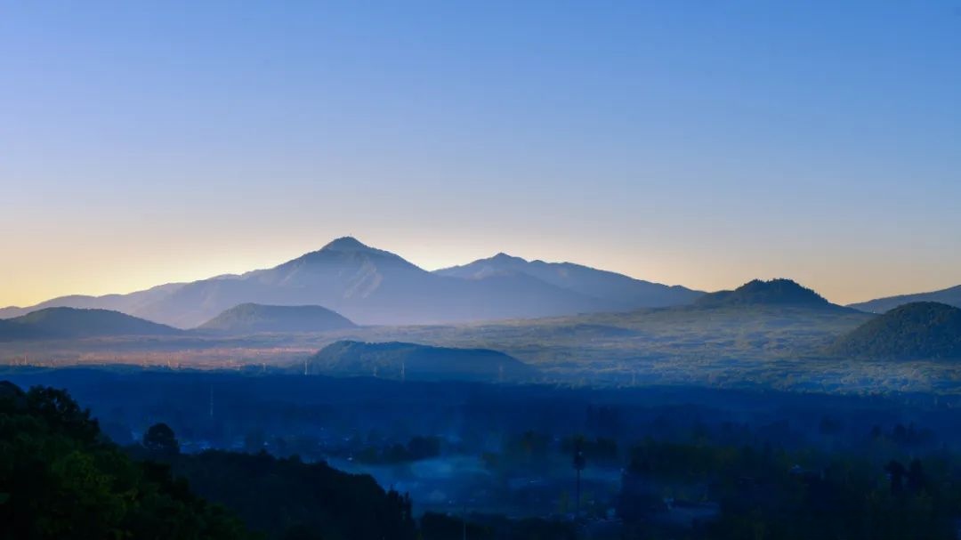 Sonja Büntjen tweet media
