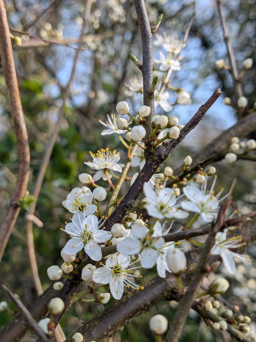 the muddy mum 💙 tweet media