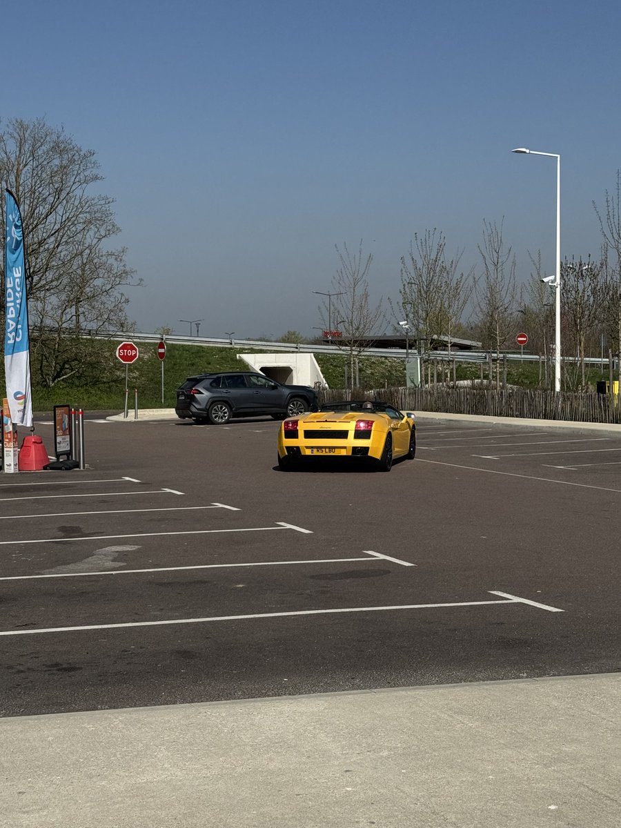 SparkyLotus tweet media