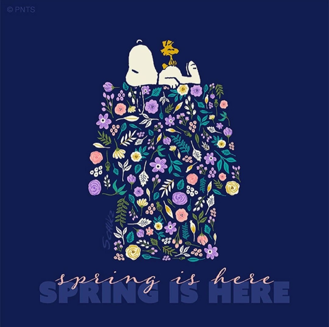 ‌ 𝕃𝕖𝕠-𝕃𝕏𝕍𝕀𝕀 🔬🔍📷✒ tweet media