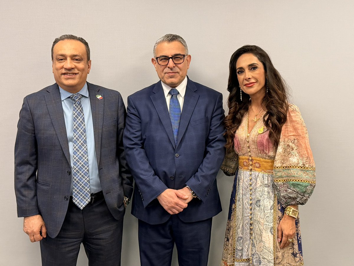 Darya Safai MP tweet media