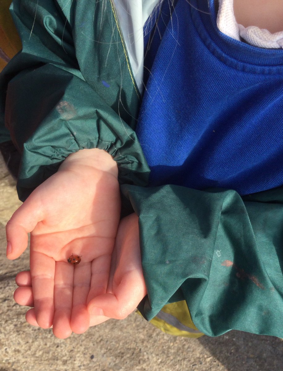 Shiremoor Reception tweet media