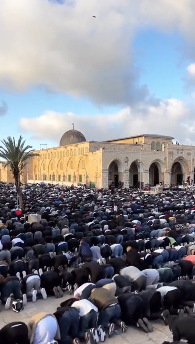 beautiful Arab tweet media