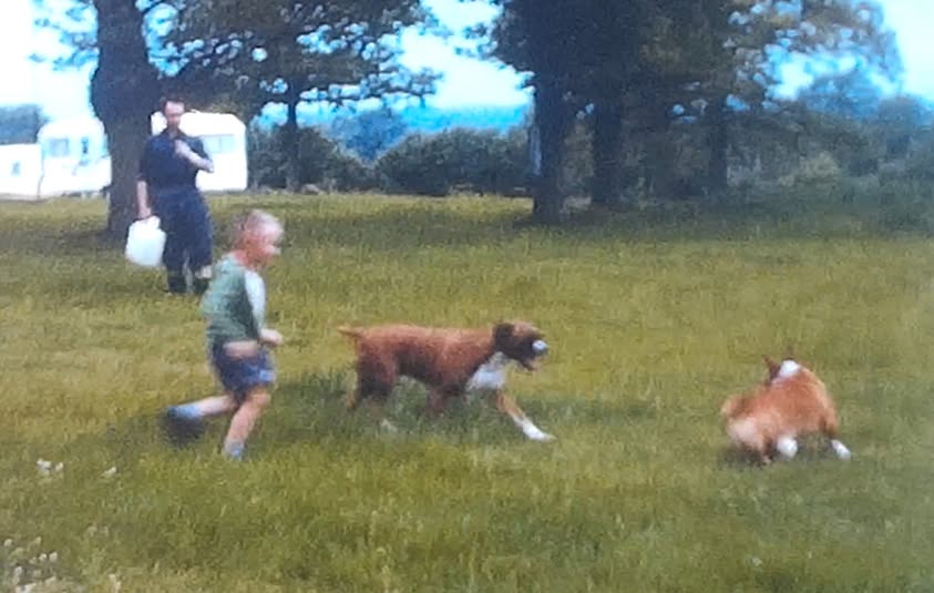 #Hector in charge tweet media