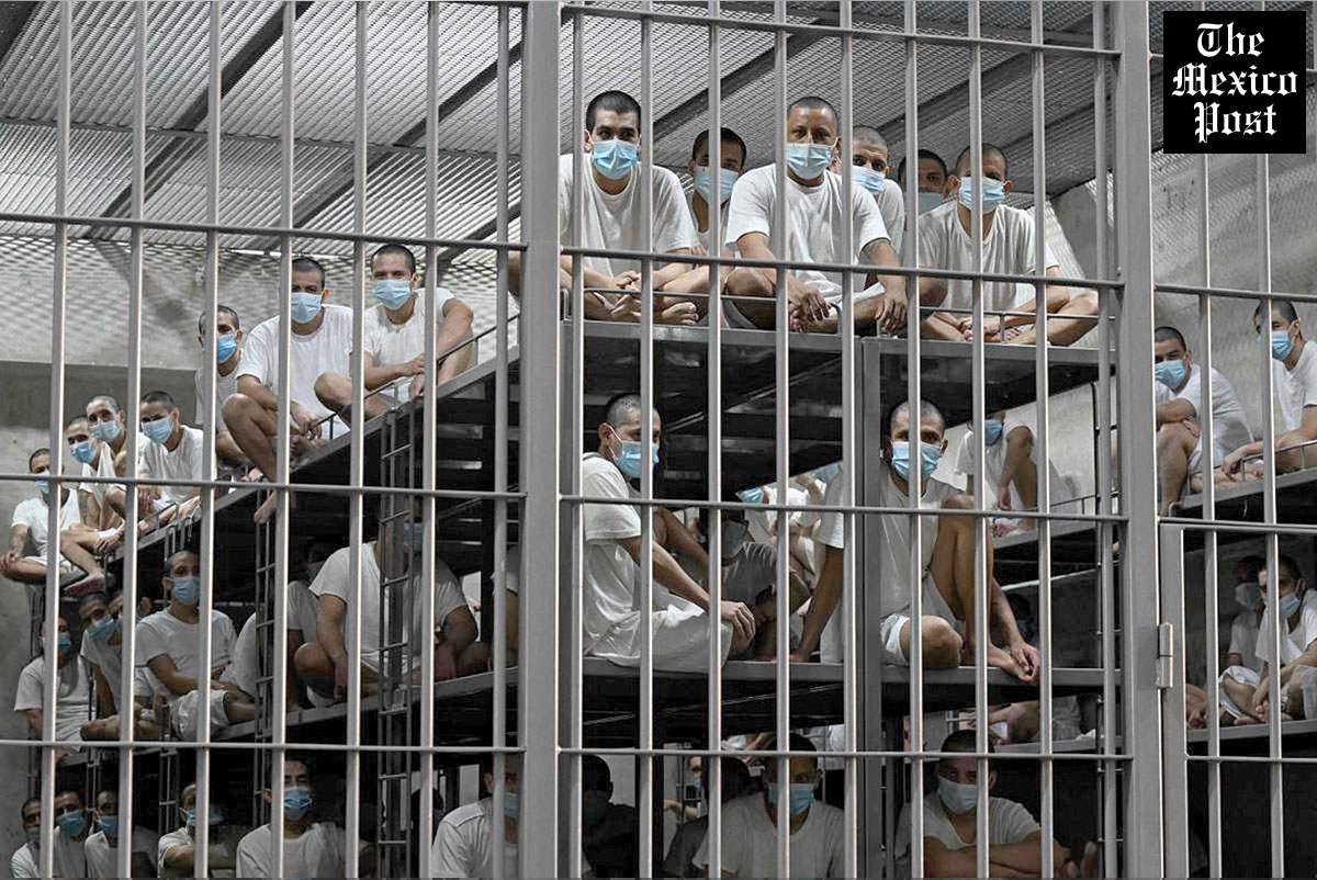 The Mexico Post tweet media