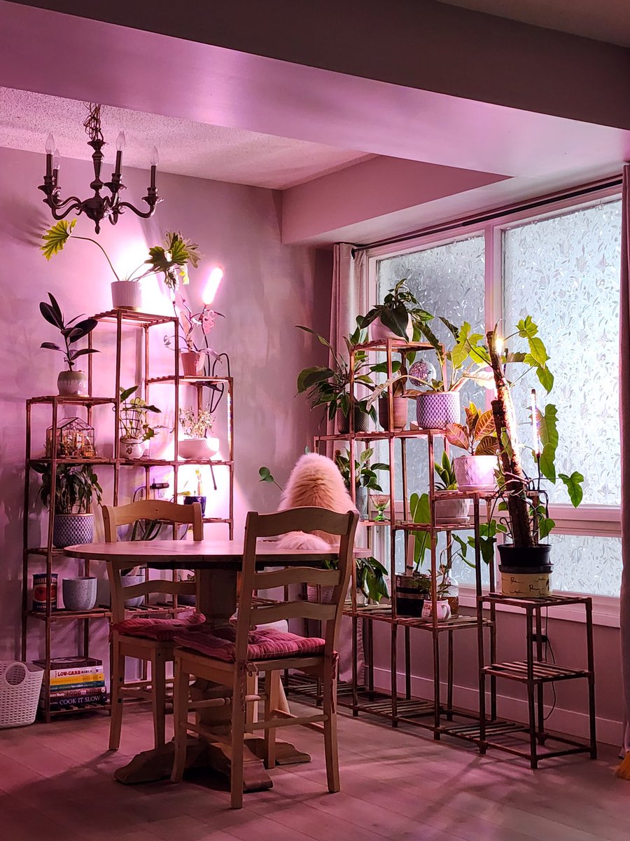 Persephy 🍑 tweet media