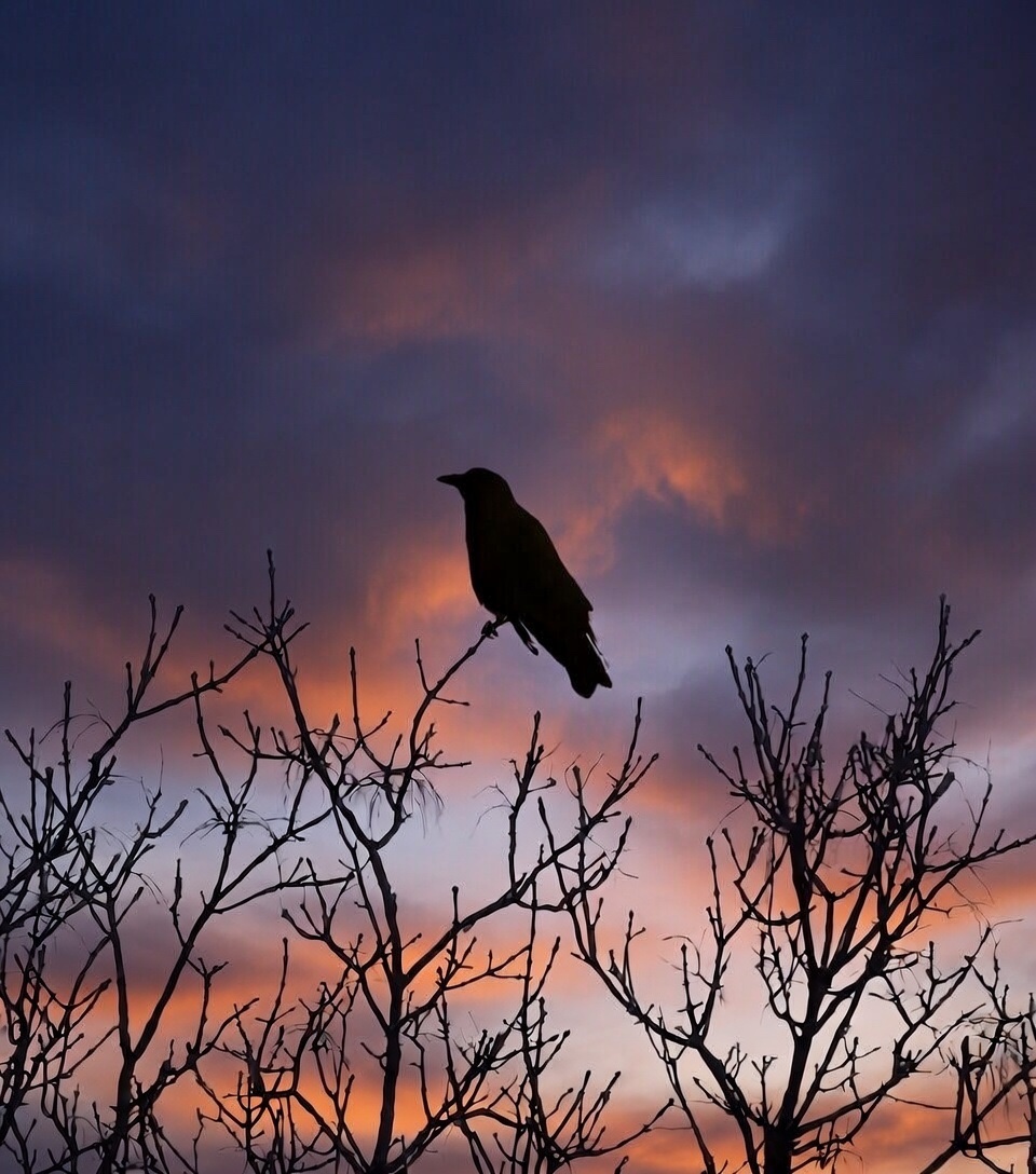 Skies 💕 tweet media