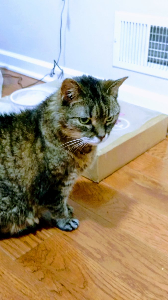 DK_East_Coast tweet media