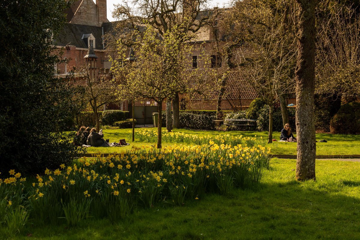 Raphael Barberi📷 tweet media