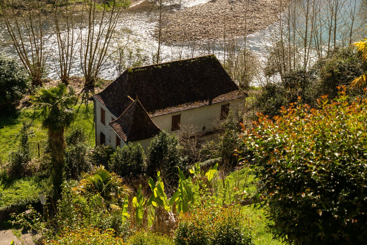 Raphael Barberi📷 tweet media