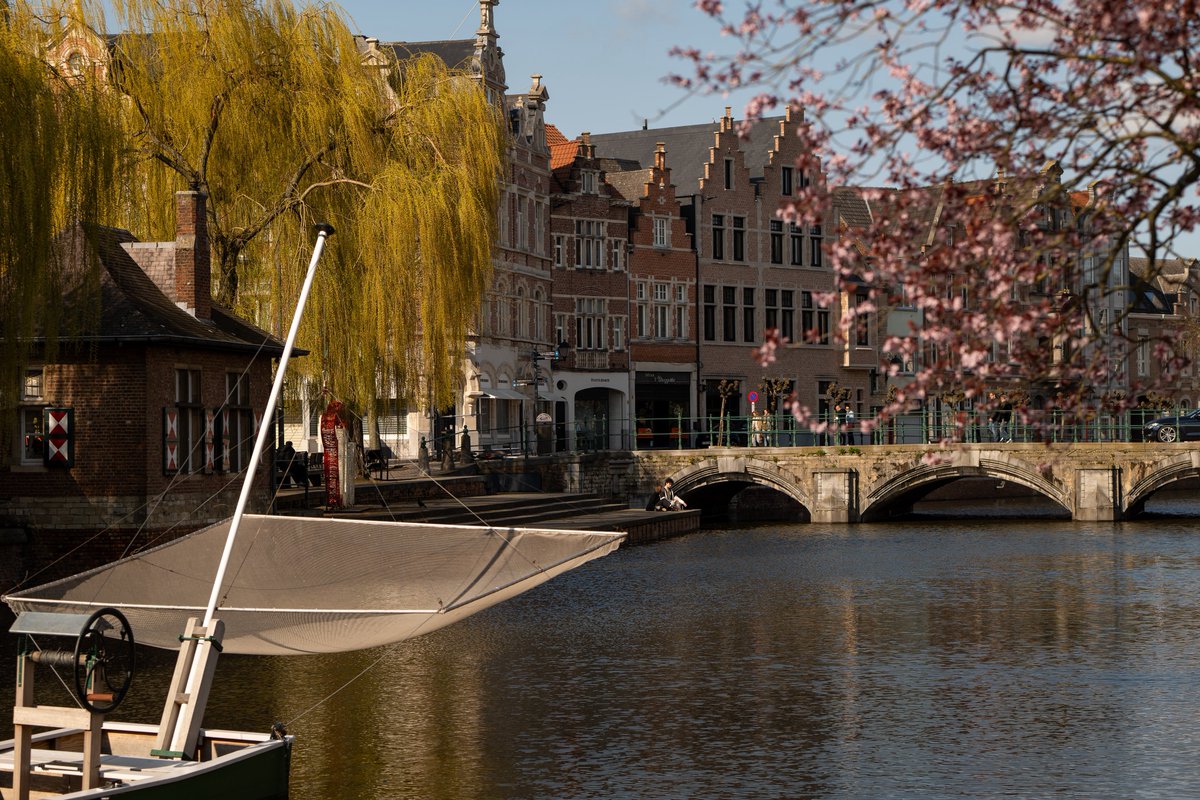 Raphael Barberi📷 tweet media