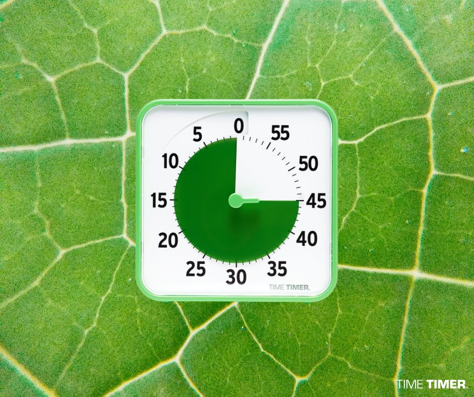 Time Timer tweet media