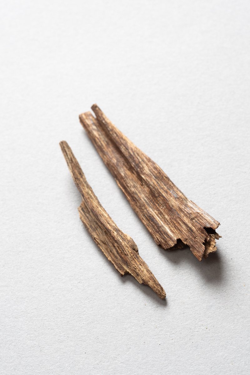 Sachs Museum at Missouri Botanical Garden tweet media