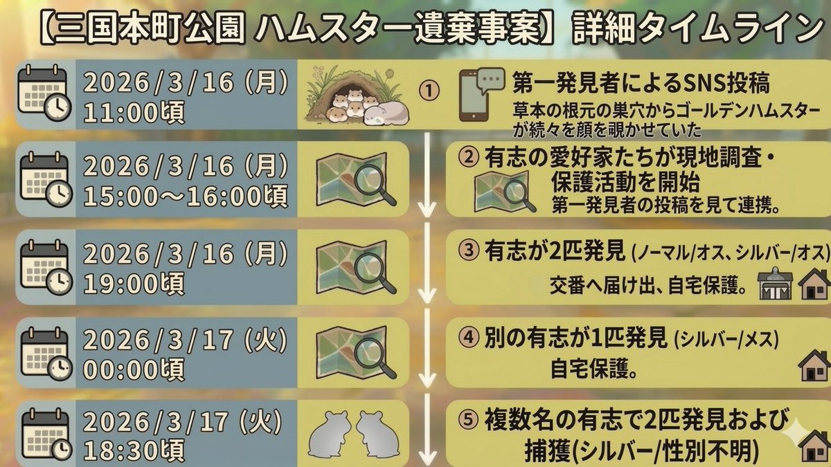 一般社団法人 ハムメディア tweet media