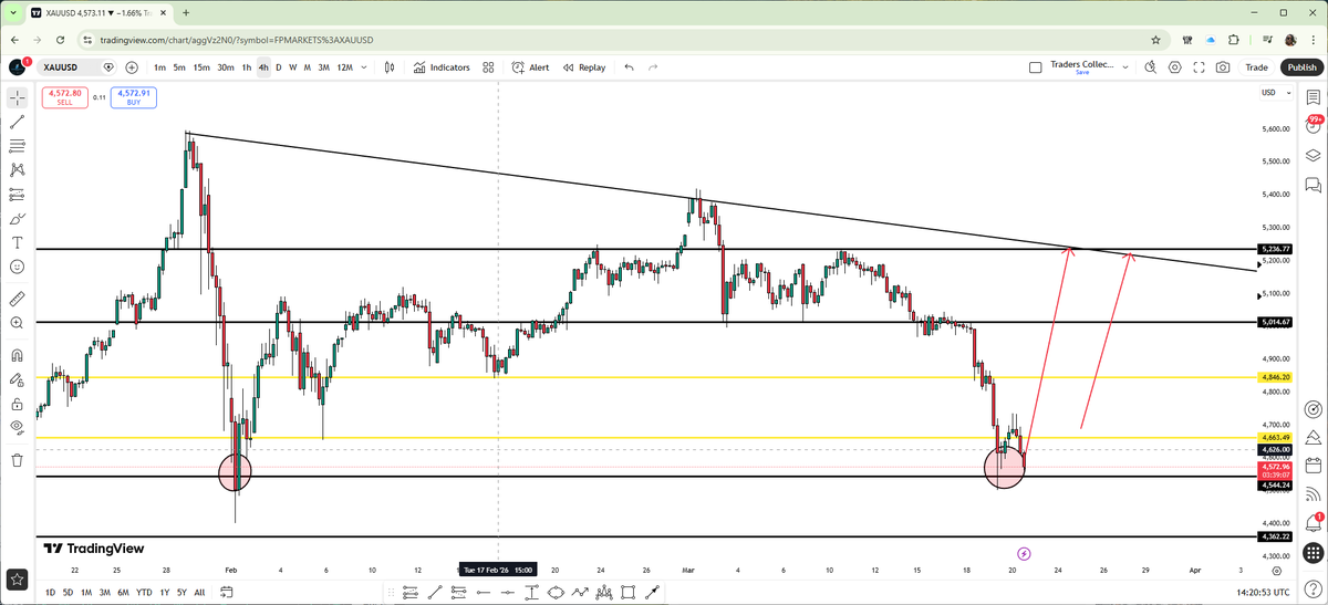 The Traders Collective | Discipline Coach tweet media