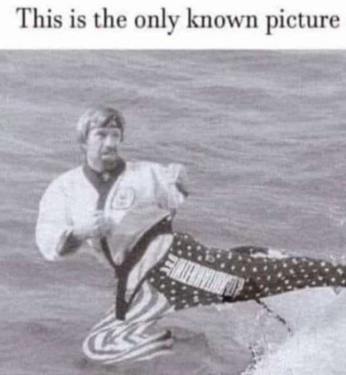 WARIO HIMSELF tweet media