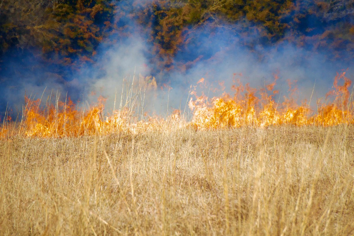 Overland Park Fire Department tweet media