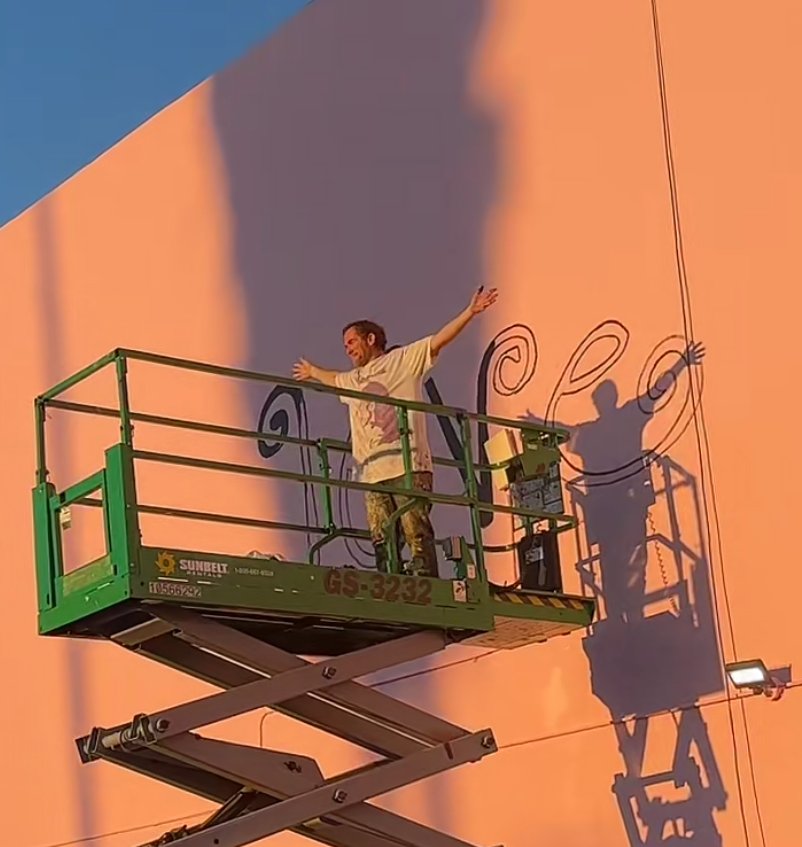 tom 🌱 tweet media