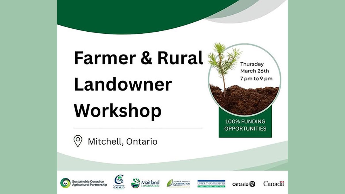 Ausable Bayfield tweet media