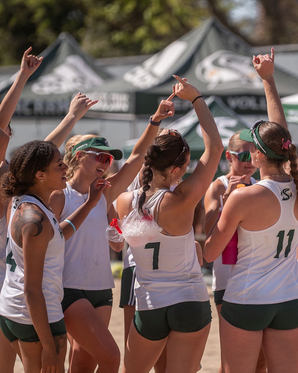 Sacramento State Volleyball tweet media