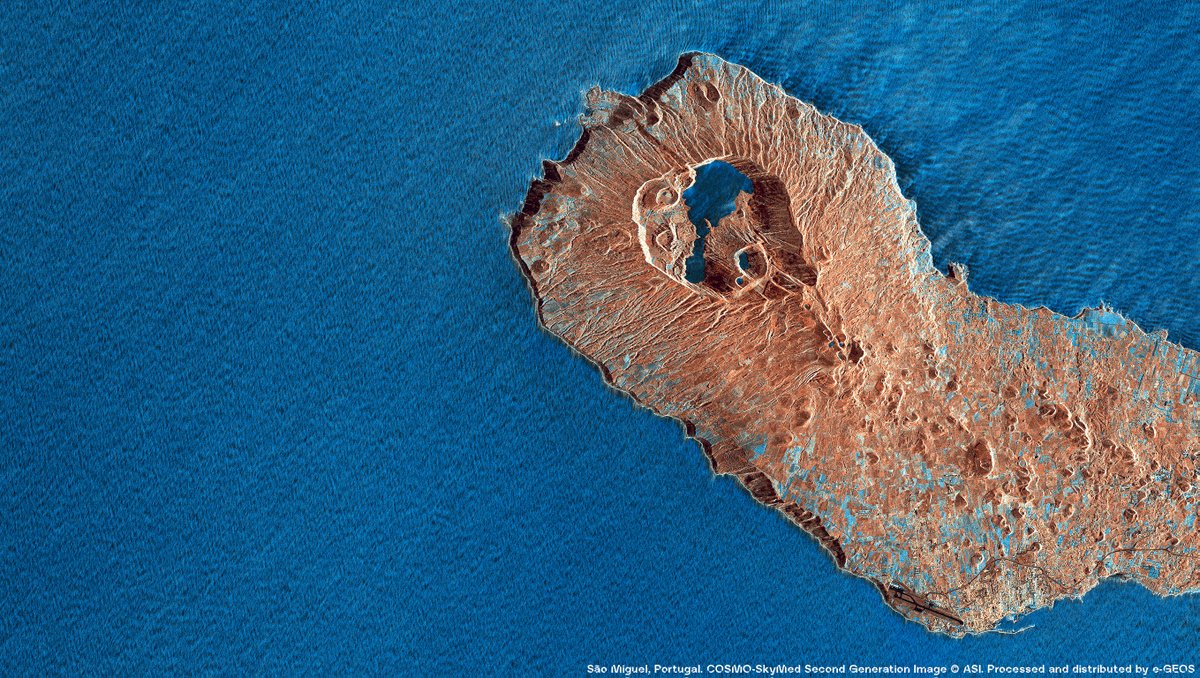 Leonardo tweet media