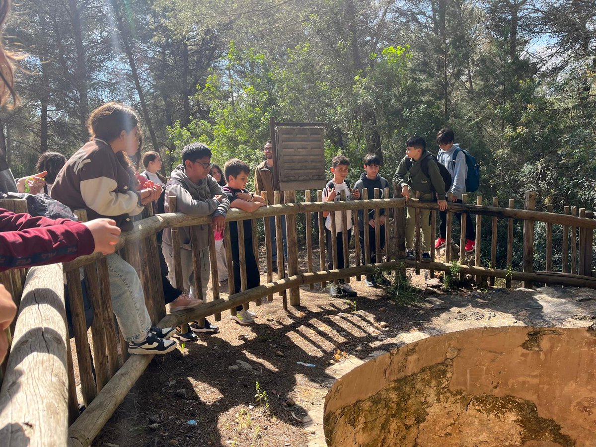 Xarxa Forestal tweet media