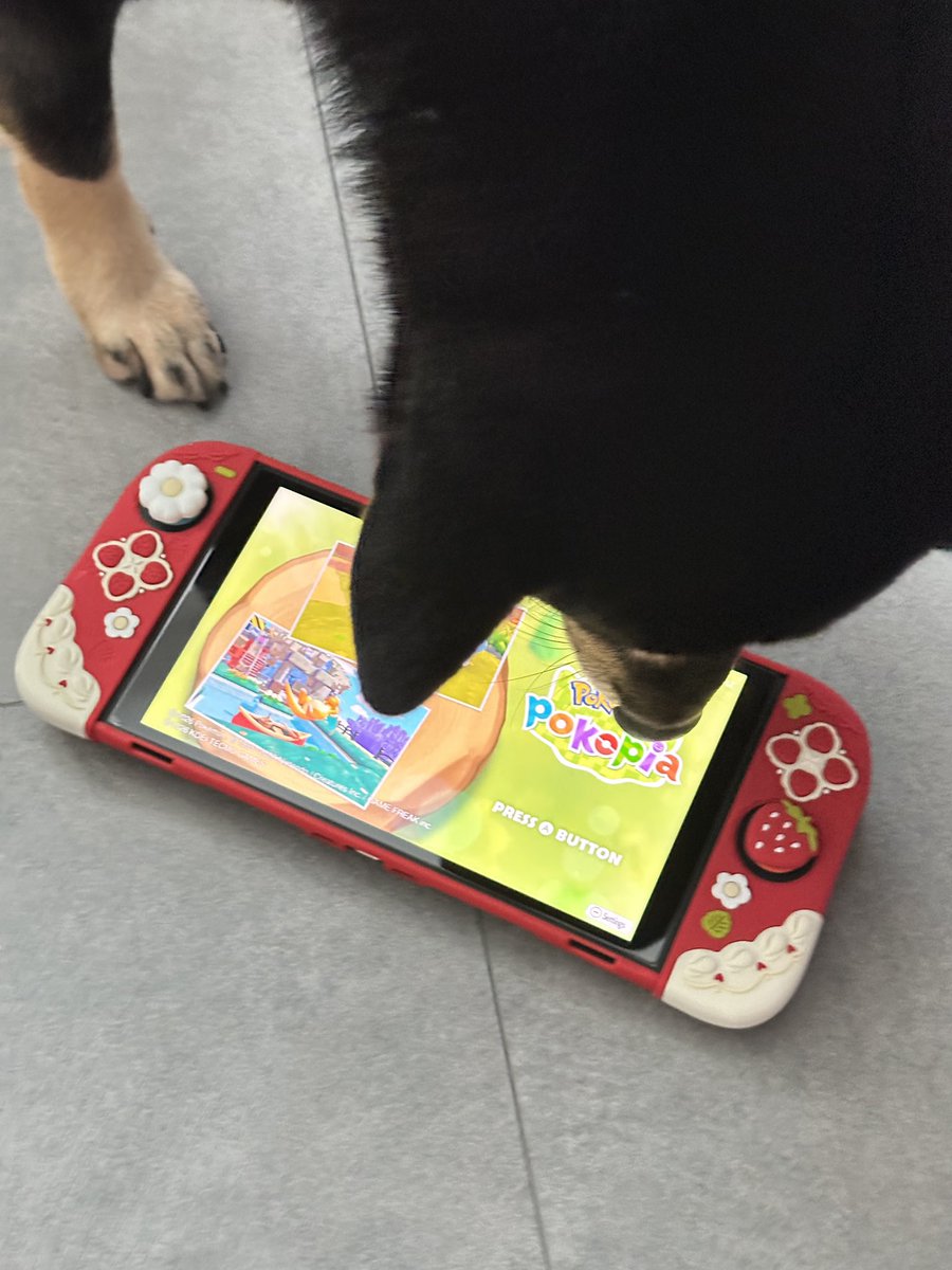 𝗞𝗔𝗥𝗜𝗛𝗔 🌘🍀 3D Artist ☻ tweet media