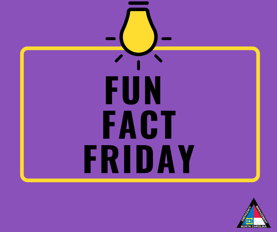 NC Emergency Management tweet media