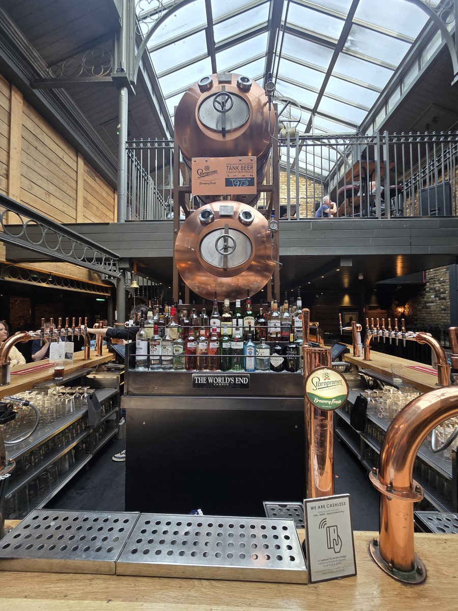 Chelsea Dan tweet media