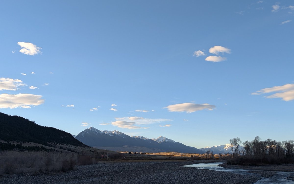 Heather Thomas tweet media