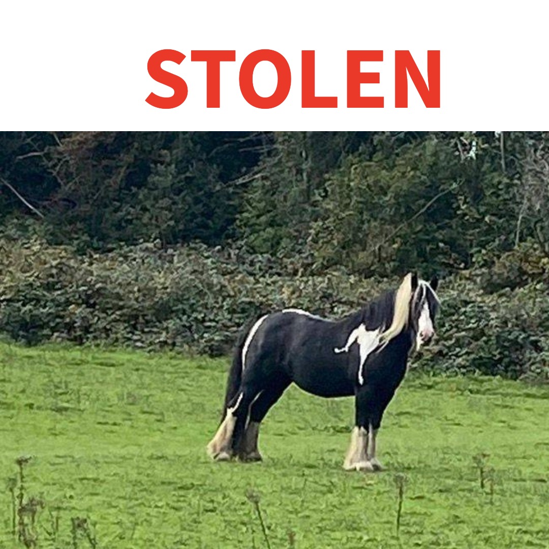 Sussex News - Breaking news for Sussex tweet media