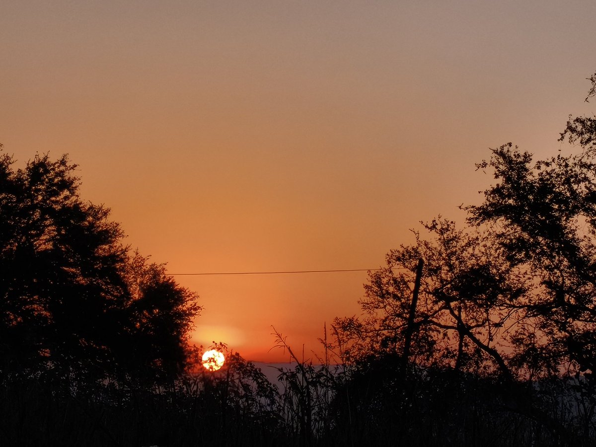 VMMR_72's tweet photo. El ser humano q ama recibe el sol hoy, pq inicia primavera, un nuevo camino en el orden, la paz, la alegría, la armonía, como fuente que fluye, emana, vibra en unidad con natura y con un sentir sagrado camina sin perturbar la atmósfera, reza por abundancia en  todos y crea poesía https://t.co/SVGOYc56X2