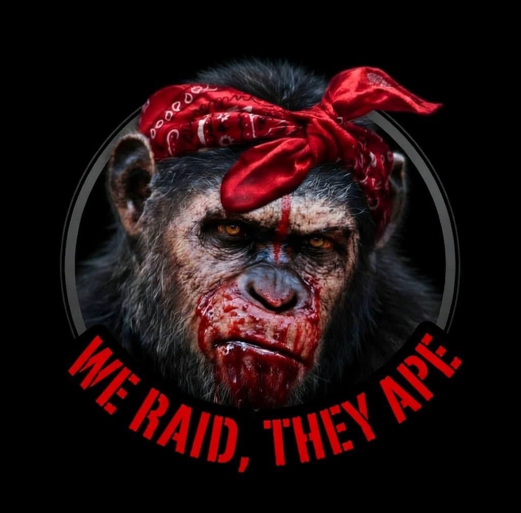 We Raid, They Ape Bot tweet media