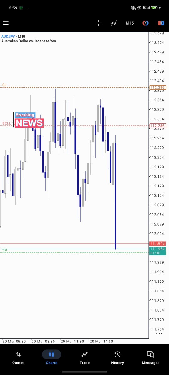 ₿𝖎𝖌_₿𝖗𝖎𝖓¢€ 🎲♟️ tweet media