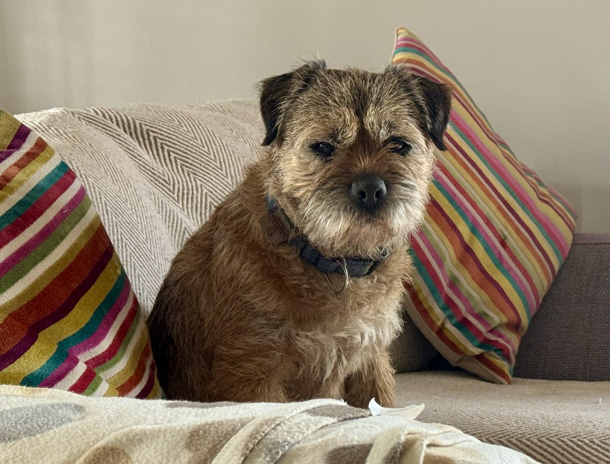 Lord Culter BT 🏴󠁧󠁢󠁳󠁣󠁴󠁿 Order of the IT tweet media