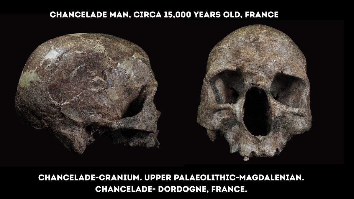 Compelling Archaeology tweet media