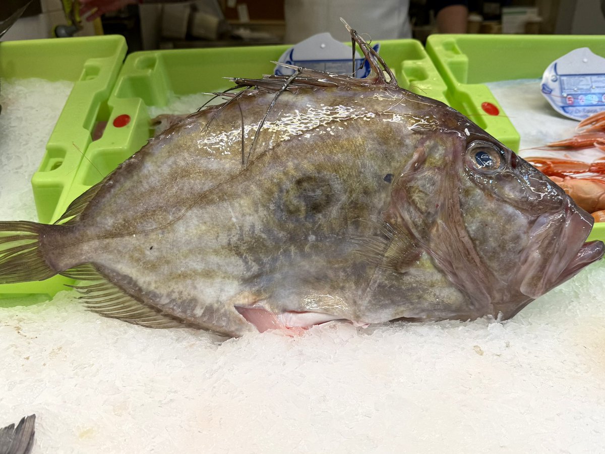 Carlos Mateos tweet media